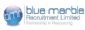 recruitment agencies in ST. ALBANS - Blue Marble Recruitment Ltd