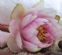 Learning and Development in ABBOTS LANGLEY - Wonderful World Life Therapy Learning and Development in ABBOTS LANGLEY - Wonderful World Life Therapy