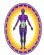 in SALE - Meridian Acupuncture® in SALE - Meridian Acupuncture®