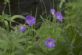 Stress Management in EDINBURGH - Your Heart's Desire