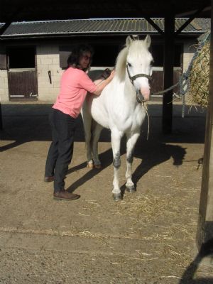 Midget enjoying a shiatsu treatment - Shiatsu Masseurs Colchester