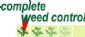 Weed Control in TONBRIDGE - Complete Weed Control