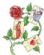  in CHORLEY - Living Tarot