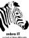 Computer Networking in CROYDON - zebra IT