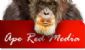 Website Maintenance in ROMSEY - Ape Red Media