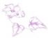 Holistic Therapy in LIVERPOOL - Beth Hunt Holistic Therapies Holistic Therapy in LIVERPOOL - Beth Hunt Holistic Therapies