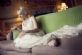 photographers in SUTTON - Voyteck Photography photographers in SUTTON - Voyteck Photography