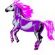 Horse Riding in GLASGOW - Horse Haven Riding School
