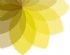wedding photographers in NEWTON ABBOT - White Petal Photography