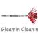  in HAYWARDS HEATH - Gleamin Cleanin