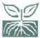 Plant Sales in MARGATE - East Northdown Farm Nursery