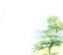 Tree Surgeons in CONGLETON - Sunset Landscapes & Treesurgery