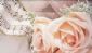 Wedding Music in GLASGOW - Hark! Wedding Music