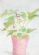 artists in STOKE-ON-TRENT - Painting 4 Living