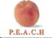 Party Supplies in BILLINGSHURST - Peachs Party World