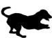 Dog Grooming in CARDIFF - Waggy Tails Groomers Dog Grooming in CARDIFF - Waggy Tails Groomers