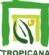 Artificial Plants in LEEDS - Tropicana Interior Plantscapes