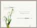 Prints and Frames in NORTHAMPTON - Snowdrop Designs