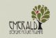  in GERRARDS CROSS - Emerald Framing and Gallery