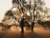 Counselling in SOUTHAM - Counsellor/Reiki Master