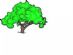 solicitors in SHEFFIELD - Oak Tree Solicitors solicitors in SHEFFIELD - Oak Tree Solicitors