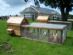  in ARMAGH - Nigel G Deens Chicken Coops