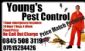 Property Maintenance in MANCHESTER - Young's Pest Control