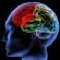 complementary therapy in CARDIFF - Hypnotherapy in Cardiff complementary therapy in CARDIFF - Hypnotherapy in Cardiff