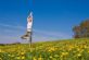 Pregnancy Yoga Classes in HOVE - Yoga Brighton and Hove