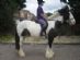 Horse Riding in CHICHESTER - Willowbrook Riding Centre