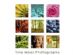 Photography Courses and Training in LONDON - Tina Maas Photography Photography Courses and Training in LONDON - Tina Maas Photography