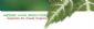 Garden Irrigation in SOUTHAMPTON - Greener Ways Irrigation Ltd