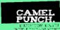 Database Driven Websites in BRIGHTON - Camel Punch Ltd
