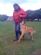Pet Services in EAST COWES - CALM Dog Training & Pet Services Pet Services in EAST COWES - CALM Dog Training & Pet Services