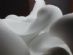 Therapeutic Massage in BURTON-ON-TRENT - 11-11 Therapy Space