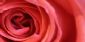photographers in CHELTENHAM - Kenneth James Photography photographers in CHELTENHAM - Kenneth James Photography