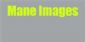 Nature Photography in CHELMSFORD - Mane Images