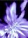 hairdressers in BRISTOL - Gill's Hair and Holistic Therapies