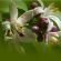  in LONDON - Crouch End Therapeutic Massage for Women