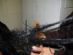 hairdressers in HORNCHURCH - The Removers Salon hairdressers in HORNCHURCH - The Removers Salon