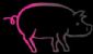 Hog Roast in FRODSHAM - Cheshire Hog Roasts
