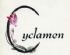 beauty salons in BRISTOL - Cyclamen Beauty beauty salons in BRISTOL - Cyclamen Beauty