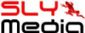 web designers in REDDITCH - Sly Media