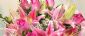 in BOLTON - Occasion Flowers in BOLTON - Occasion Flowers
