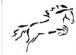 Equestrian Services in BICESTER - Bareback Laundry