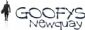guest houses in NEWQUAY - Goofys Boutique Hostel