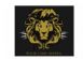  in CAMBRIDGE - Wild Lion Media