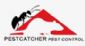 Pest Control in SWINDON - Pest Catcher