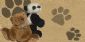 Teddy Bears in WICKFORD - Sambrook Bears