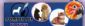 Pet Sitting in SOUTHSEA - The Pompey Pet Nanny